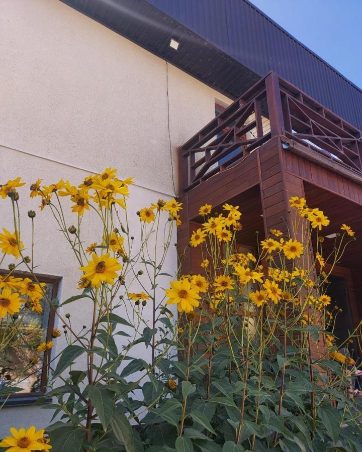 Guest House Tenir Too Naryn Luaran gambar